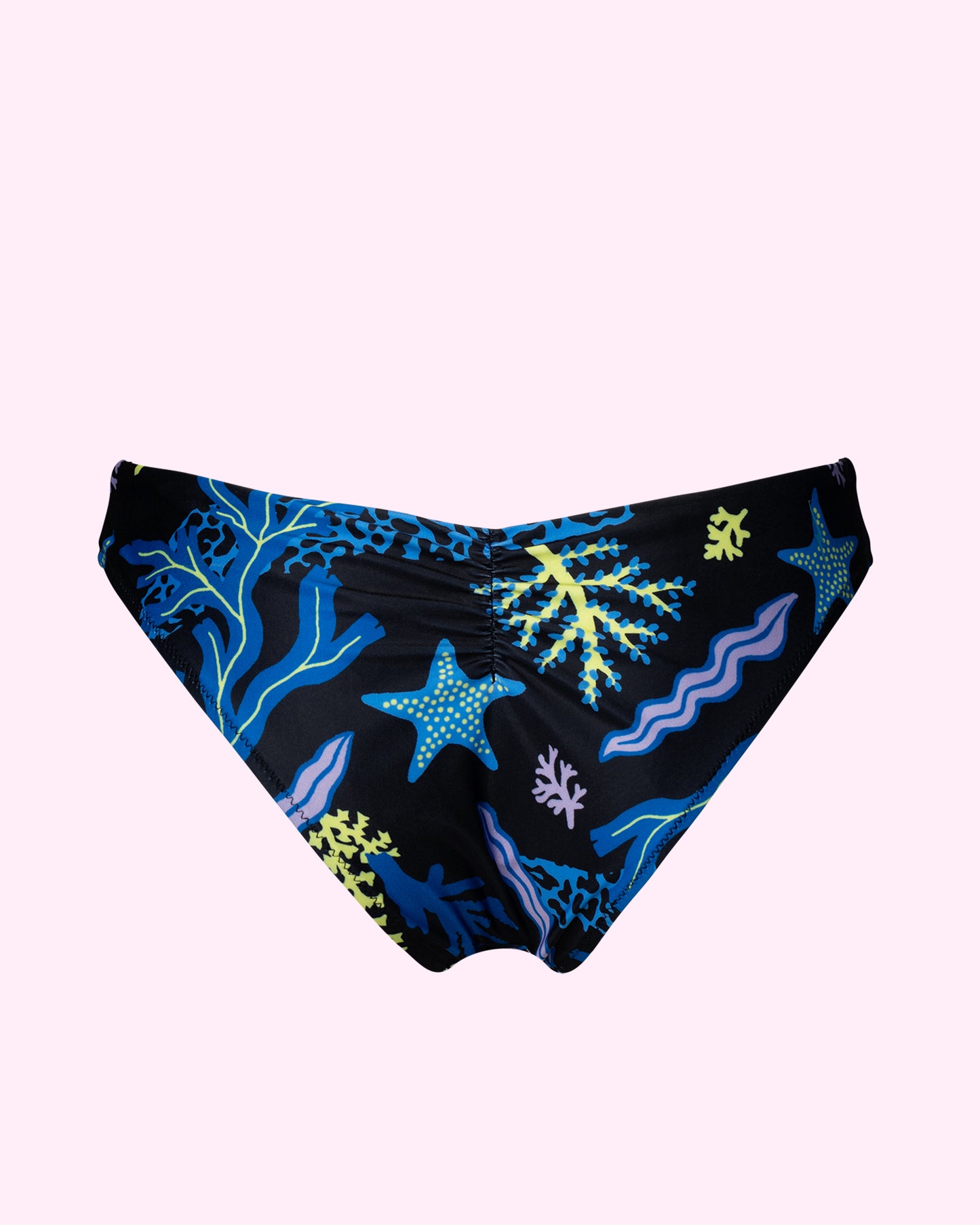 ROSA bottom ~ Reef